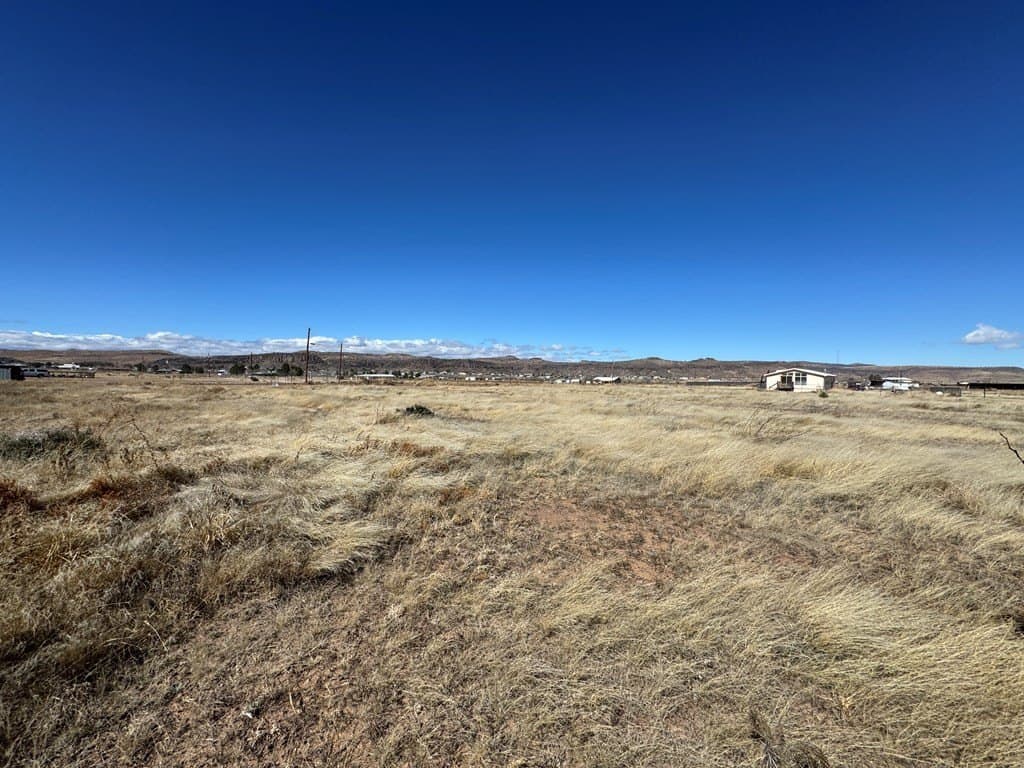 1.03 acres in Jeff Davis County gallery image 4