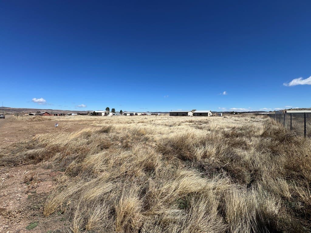 1.03 acres in Jeff Davis County gallery image 2