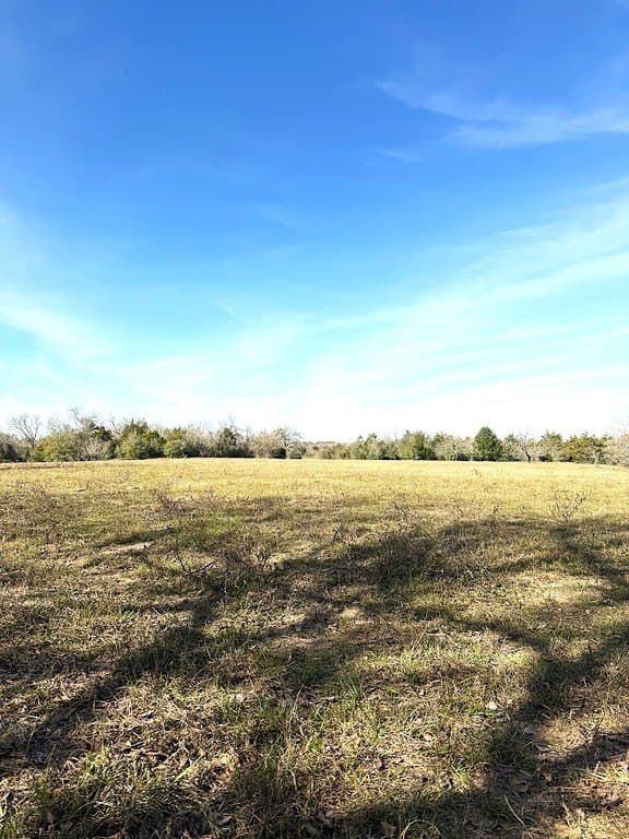 63 acres in Lee County gallery image 4