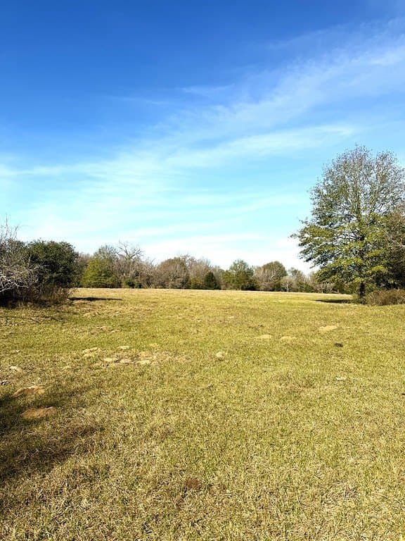 63 acres in Lee County featured view