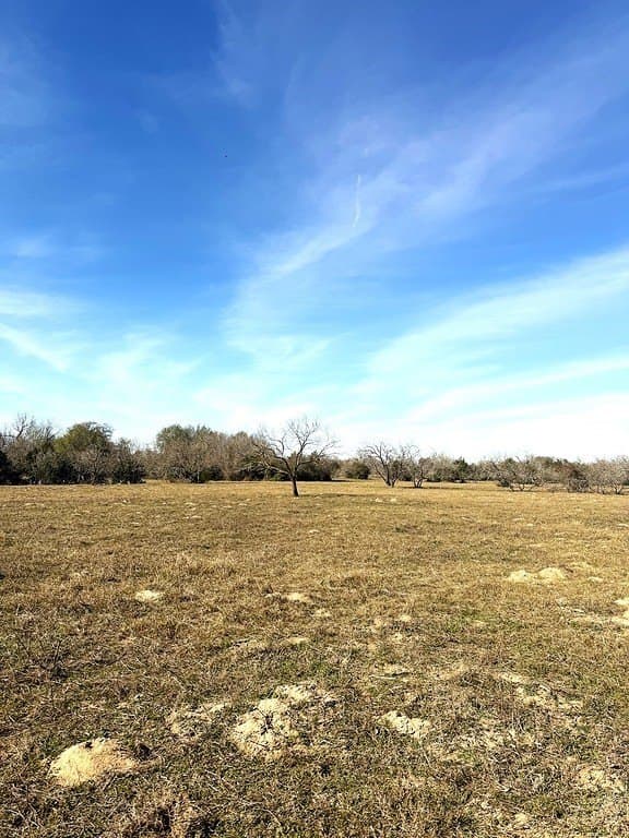 63 acres in Lee County - photo 7