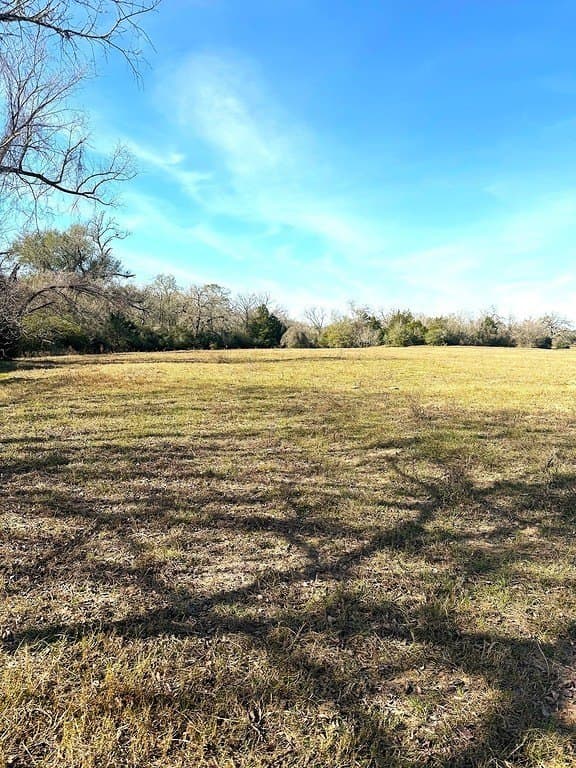 63 acres in Lee County gallery image 2