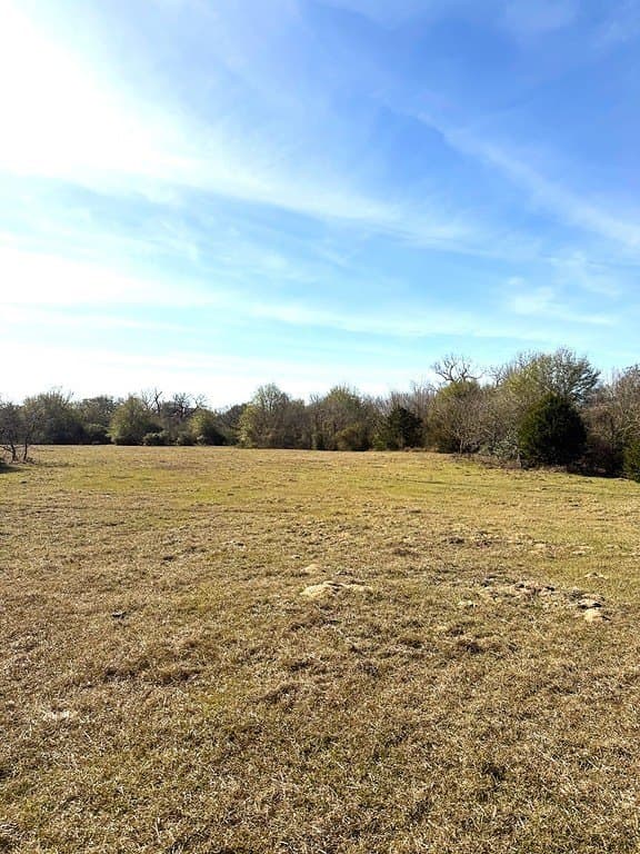 63 acres in Lee County - photo 10