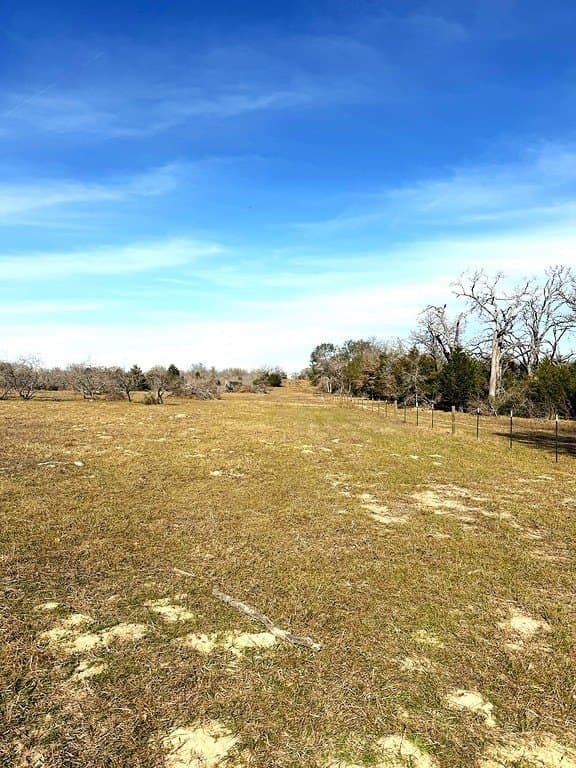 63 acres in Lee County - photo 6
