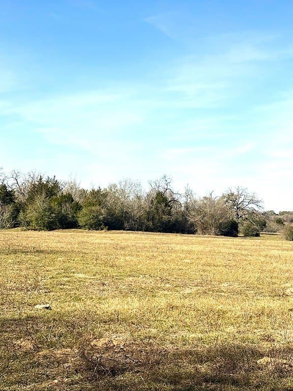 63 acres in Lee County gallery image 3