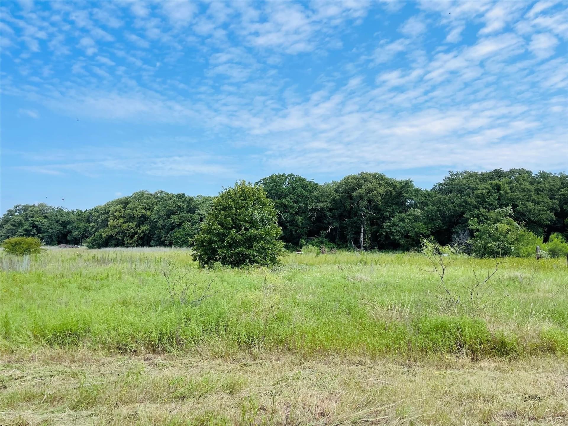 10.01 acres in Hill County - photo 10