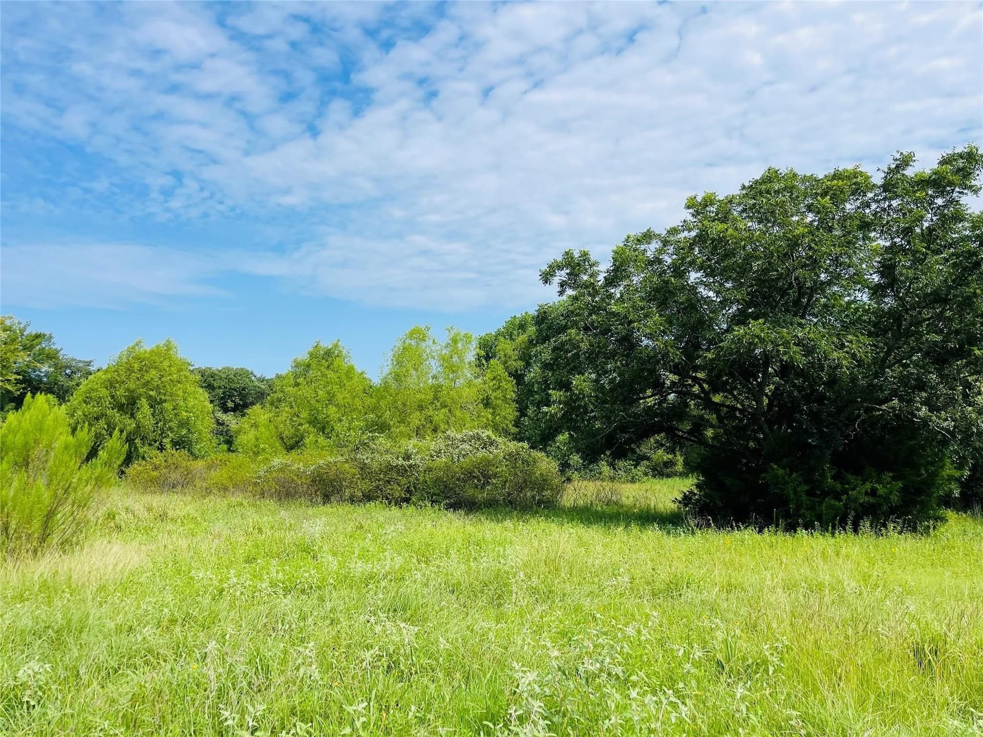 10.01 acres in Hill County - photo 9