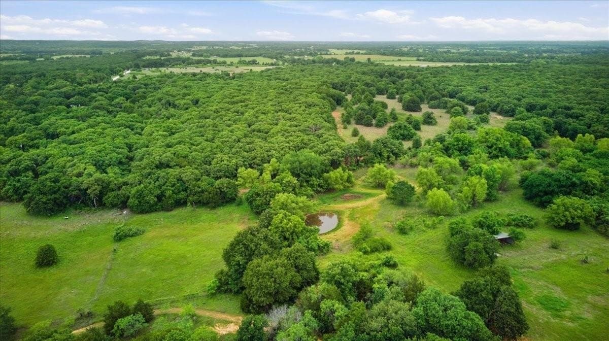 10.01 acres in Hill County - photo 3