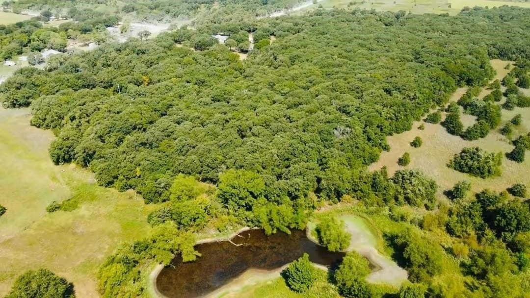 10.01 acres in Hill County - photo 11