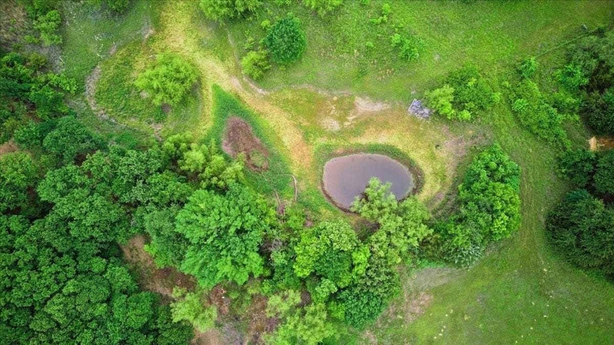 10.01 acres in Hill County - photo 5