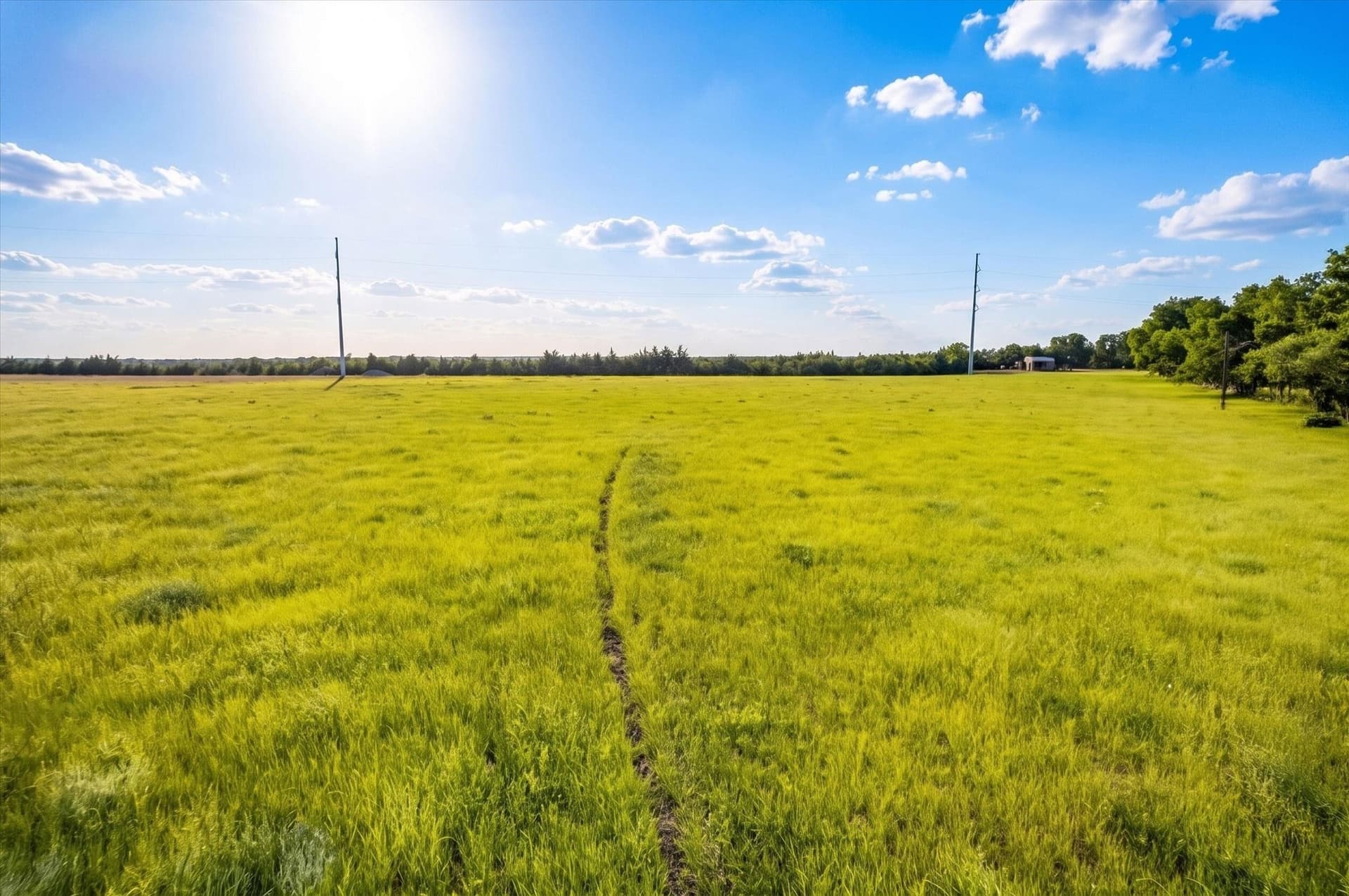 23.43 acres in Fannin County - photo 16