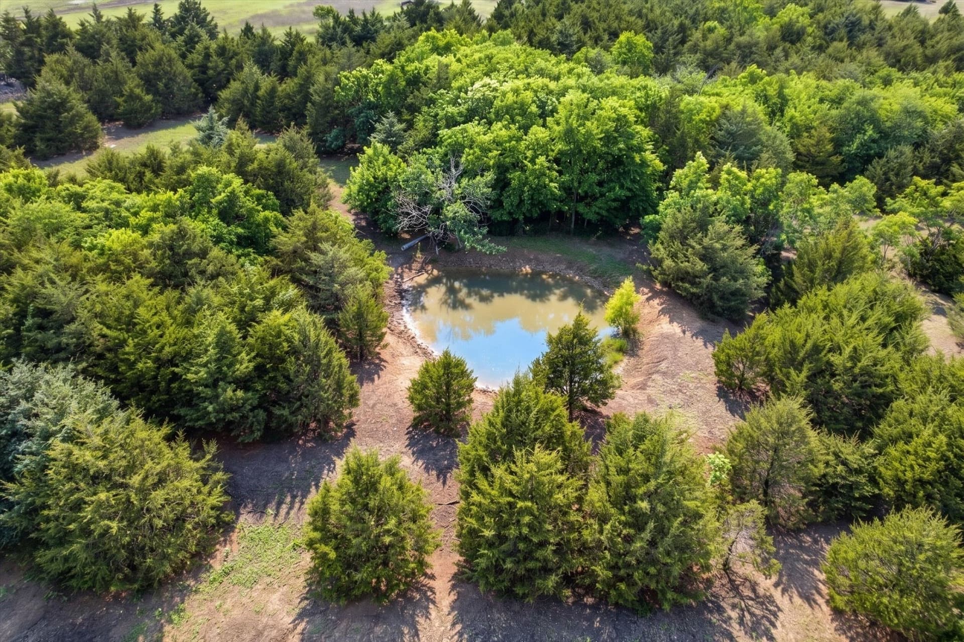 23.43 acres in Fannin County - photo 13