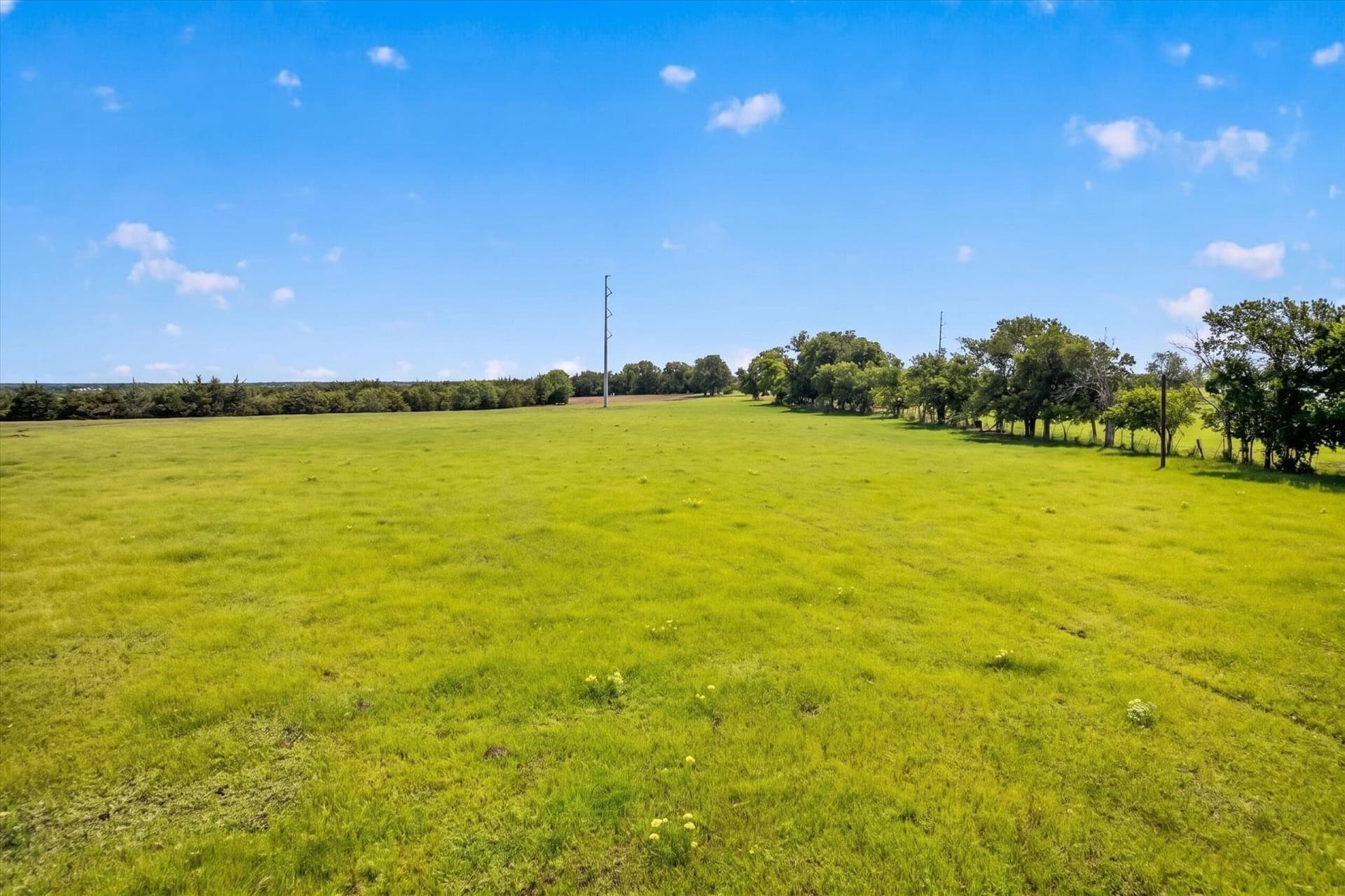 23.43 acres in Fannin County - photo 14