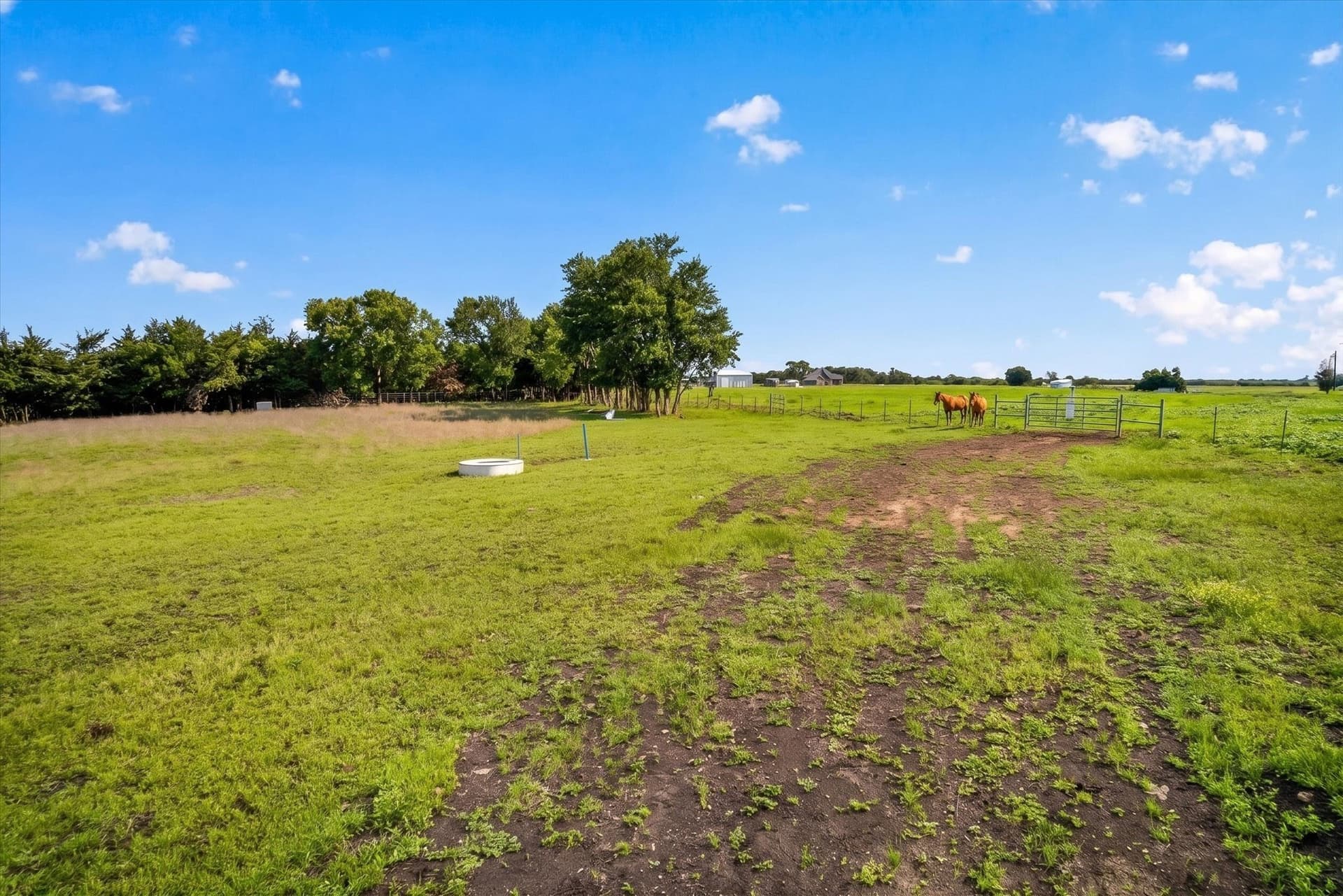 23.43 acres in Fannin County - photo 15