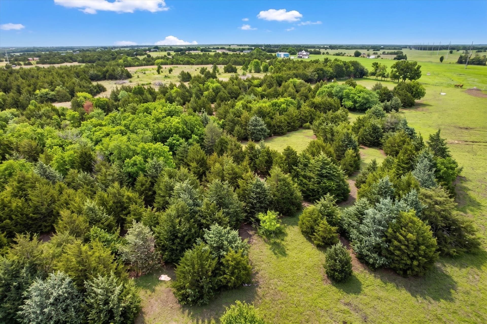 23.43 acres in Fannin County gallery image 2