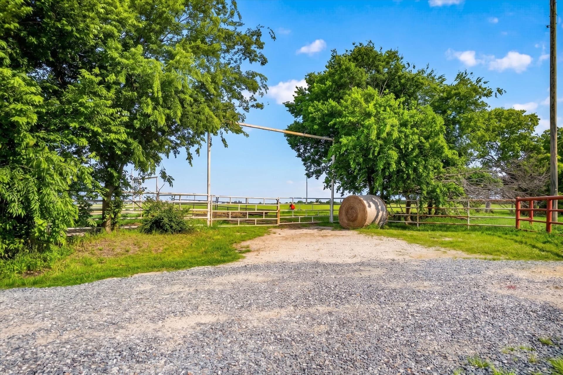 23.43 acres in Fannin County featured view
