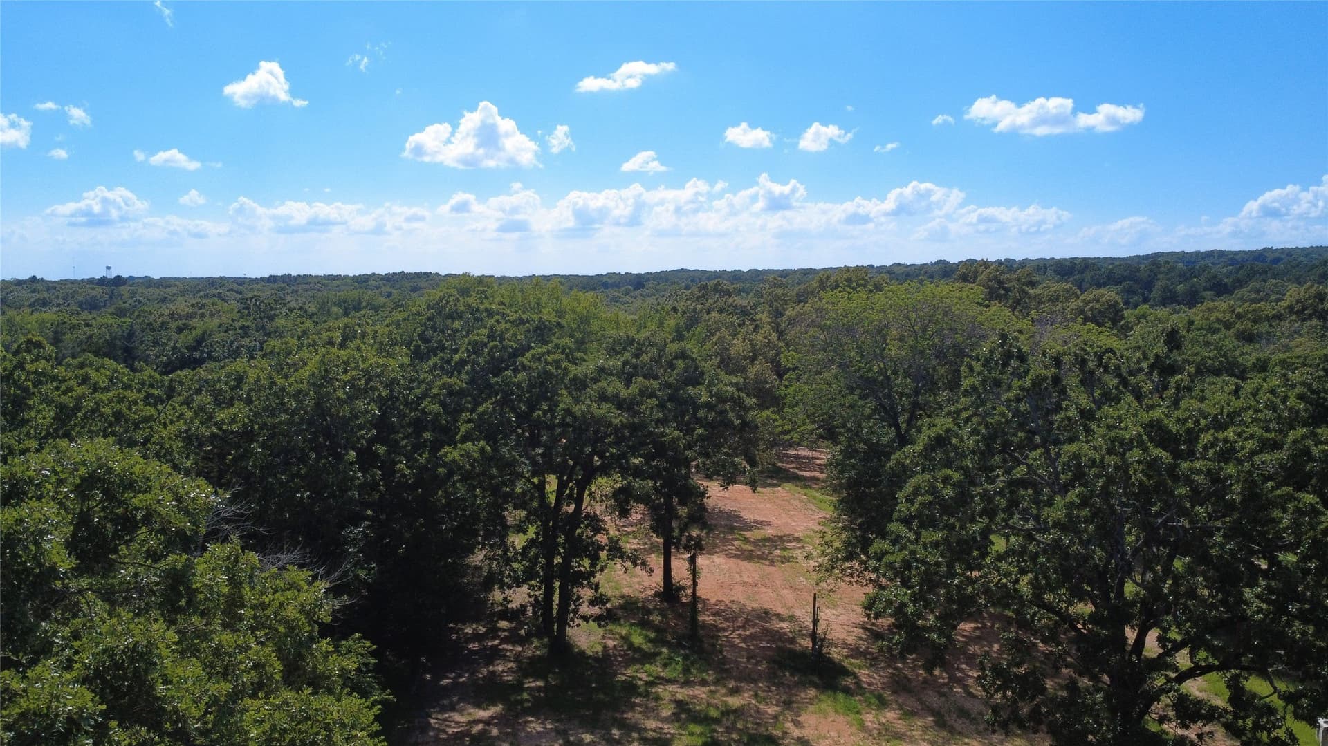 2.3 acres in Henderson County gallery image 3