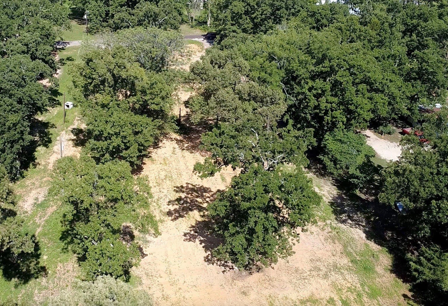 2.3 acres in Henderson County gallery image 4