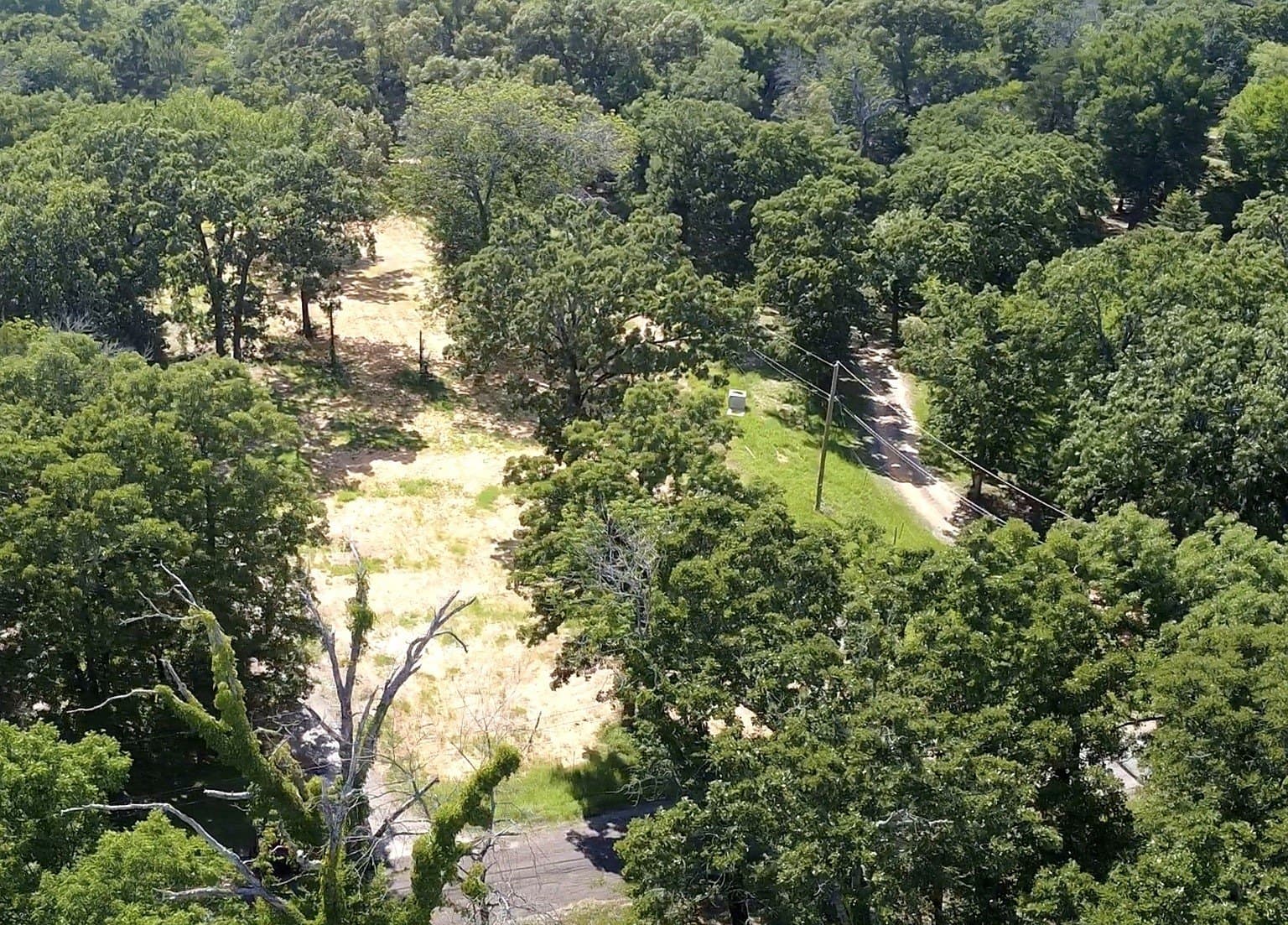 2.3 acres in Henderson County - photo 6