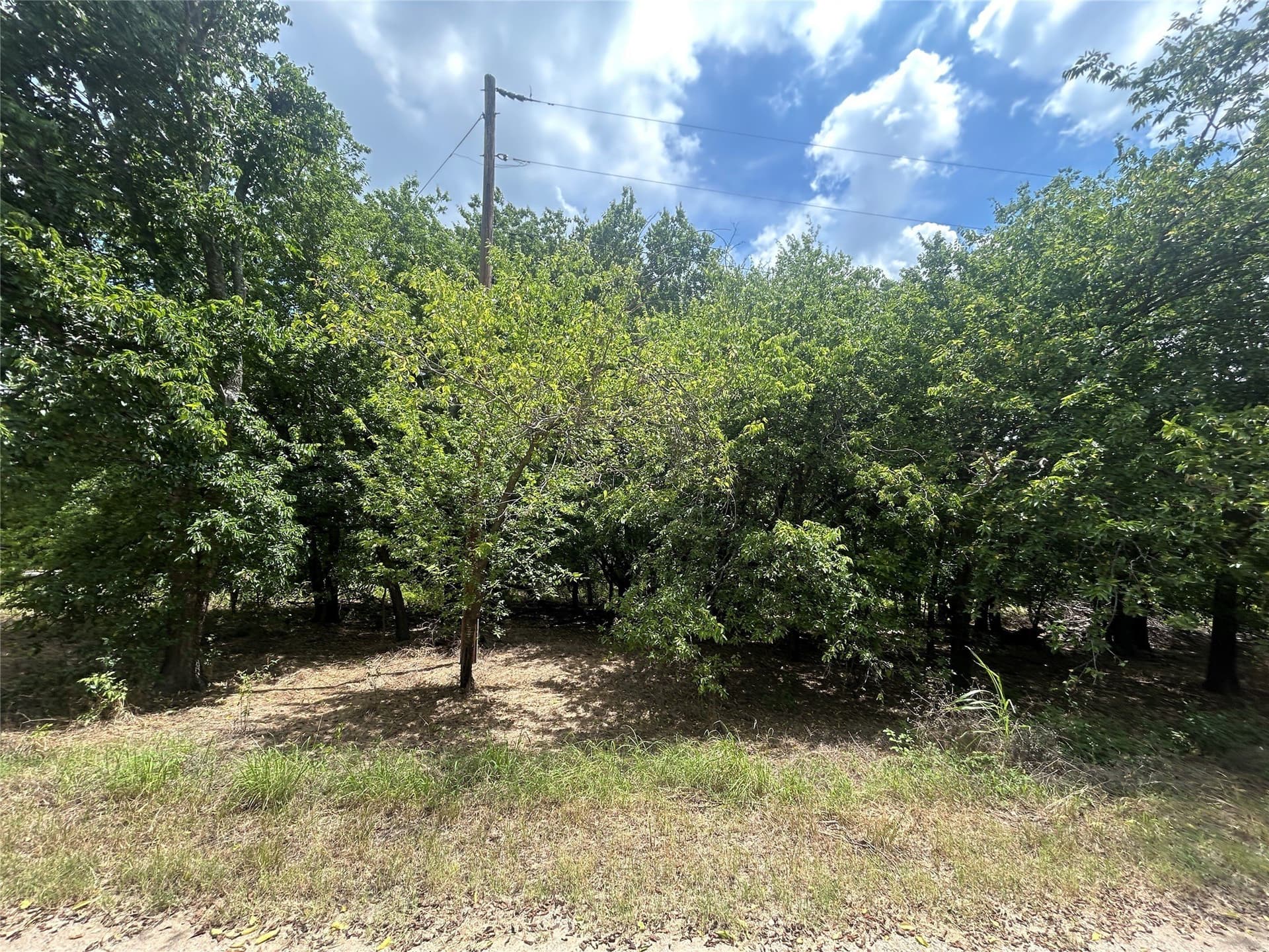 0.03 acres in Hood County gallery image 4