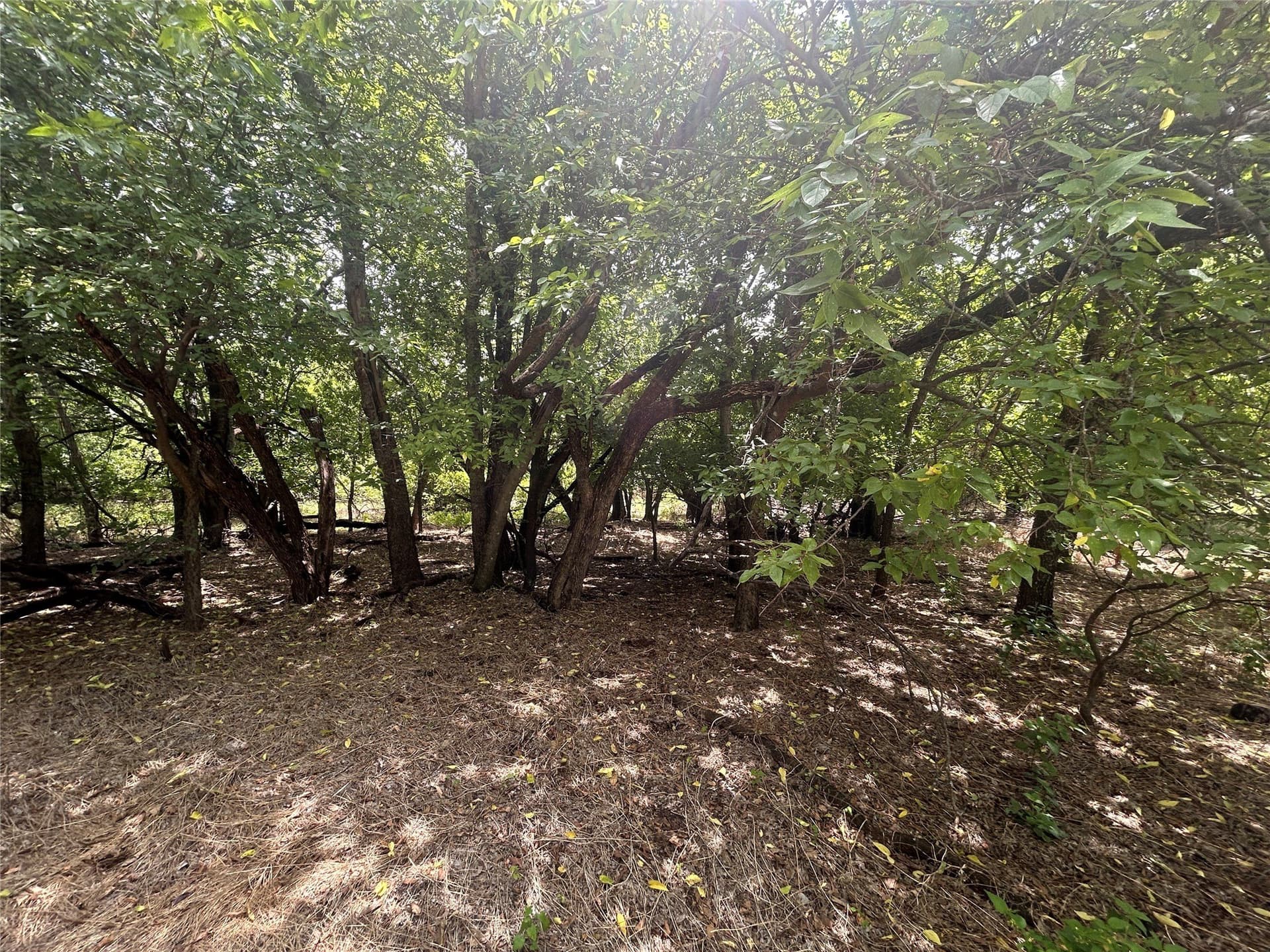 0.03 acres in Hood County gallery image 2