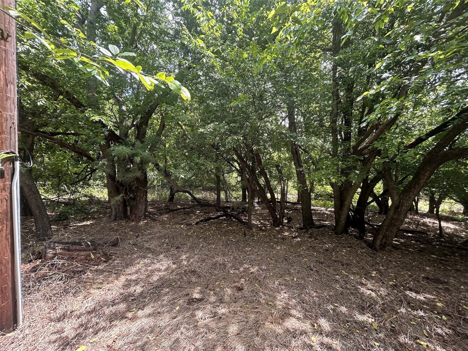 0.03 acres in Hood County gallery image 3