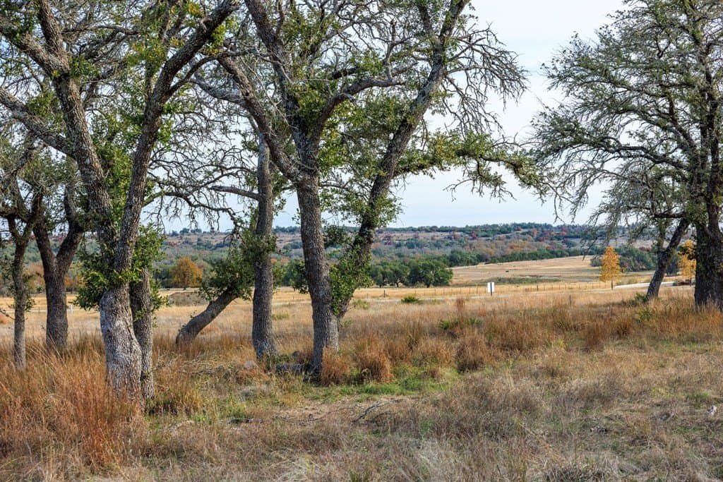 3.83 acres in Gillespie County gallery image 4
