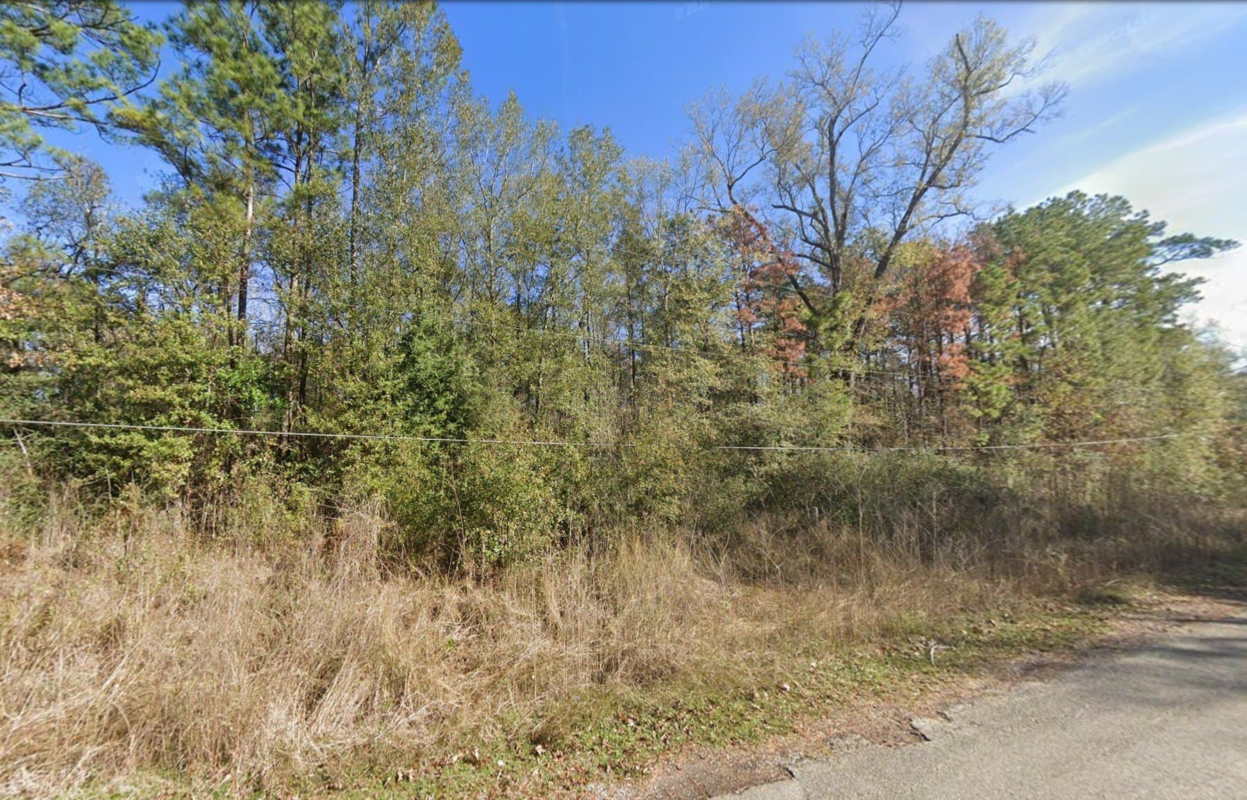 2.17 acres in Montgomery County - photo 2