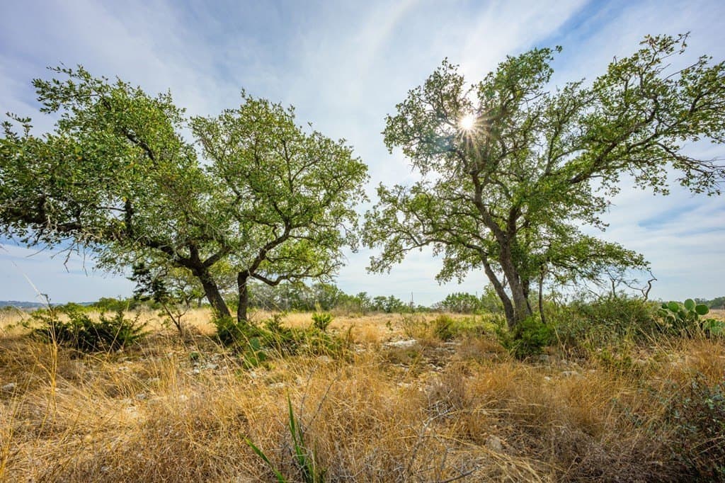 5.02 acres in Kerr County - photo 17