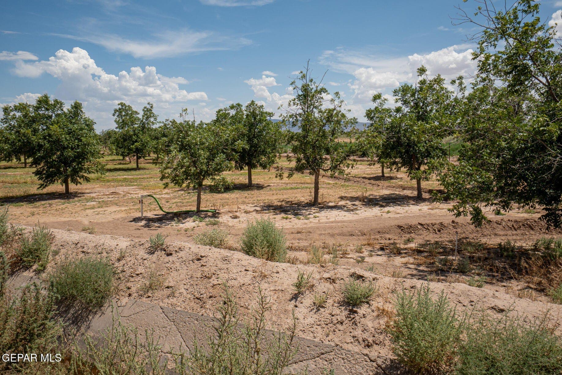 51.3 acres in El Paso County - photo 35