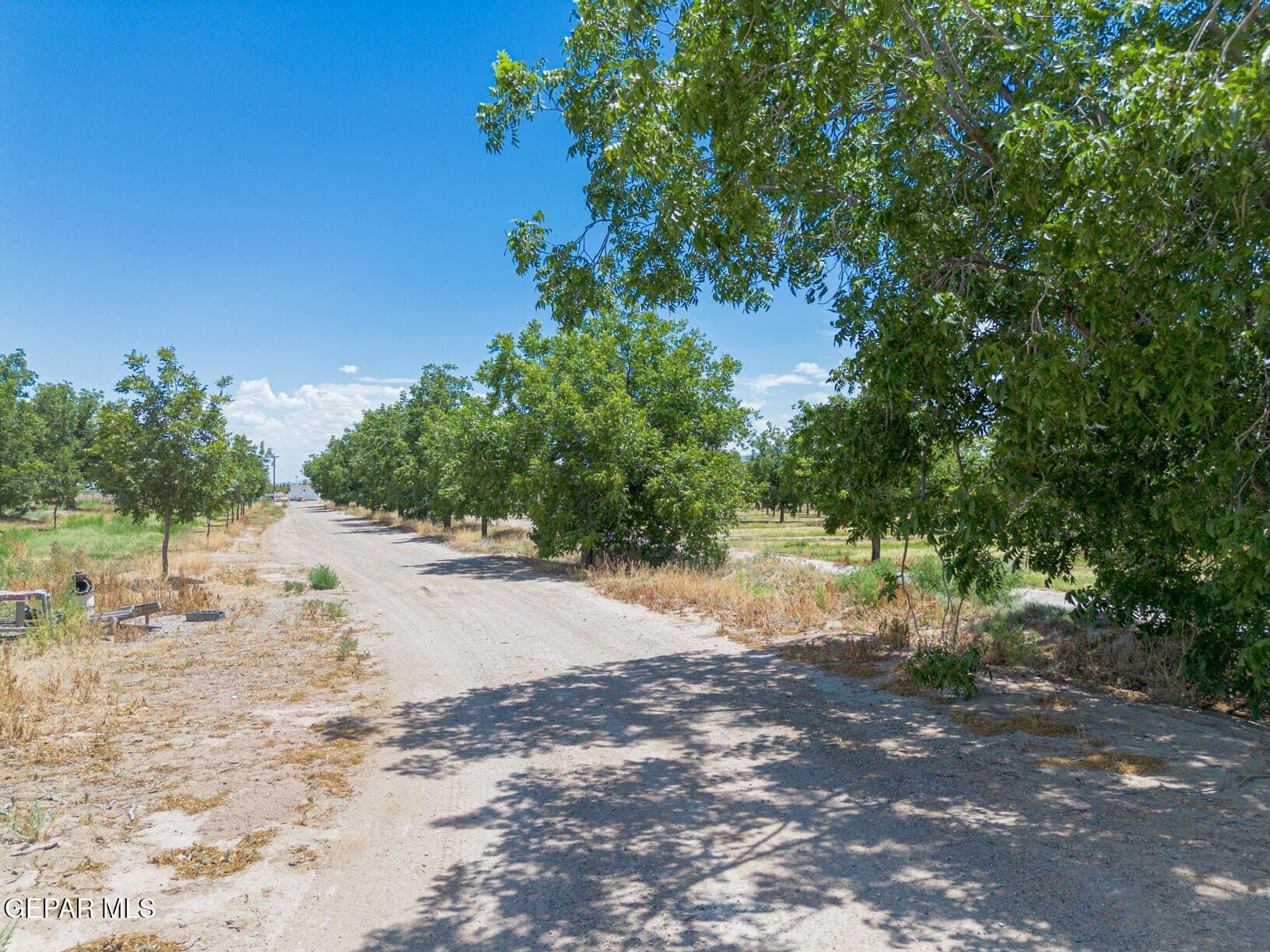 51.3 acres in El Paso County - photo 22