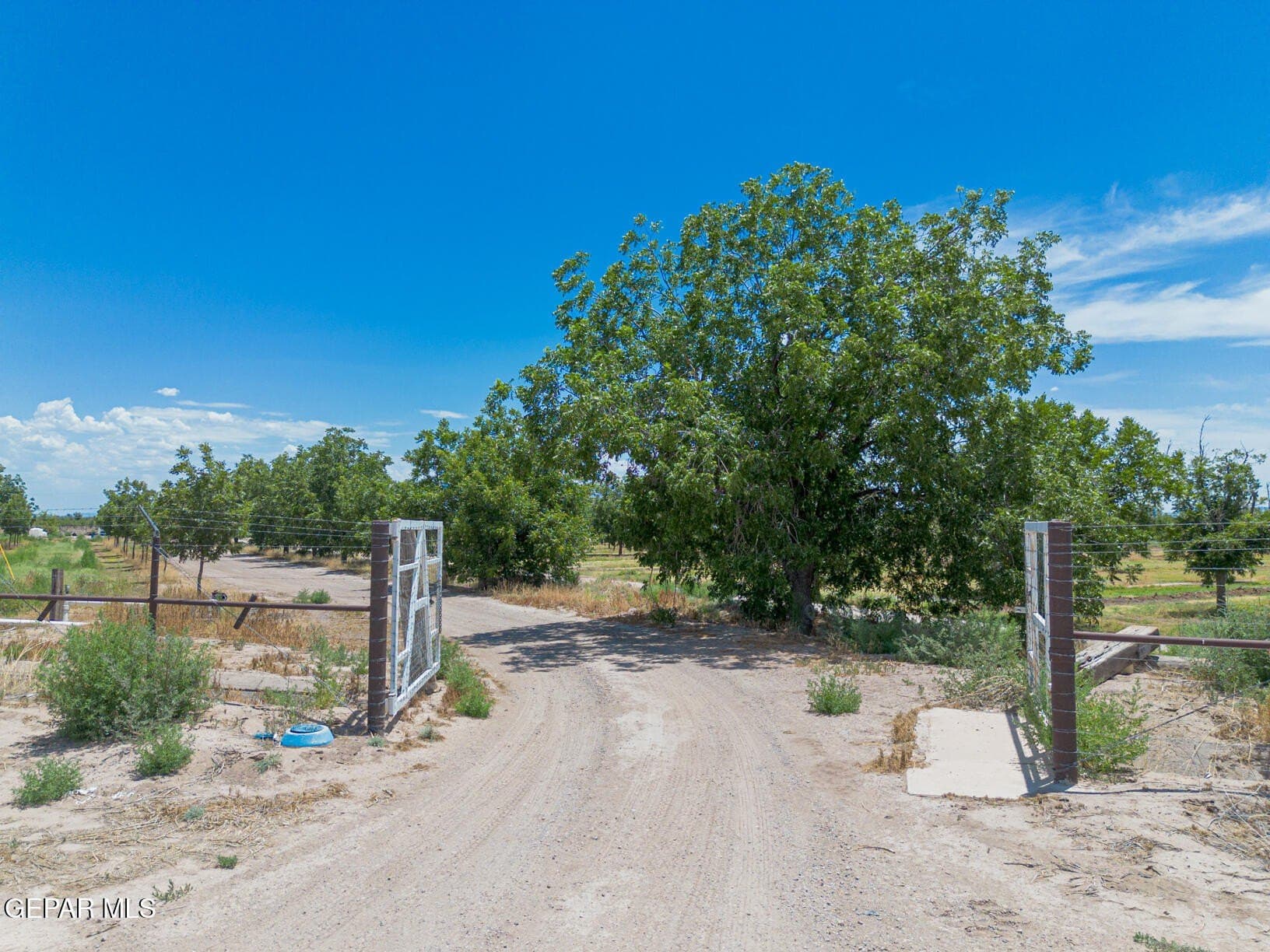 51.3 acres in El Paso County - photo 5