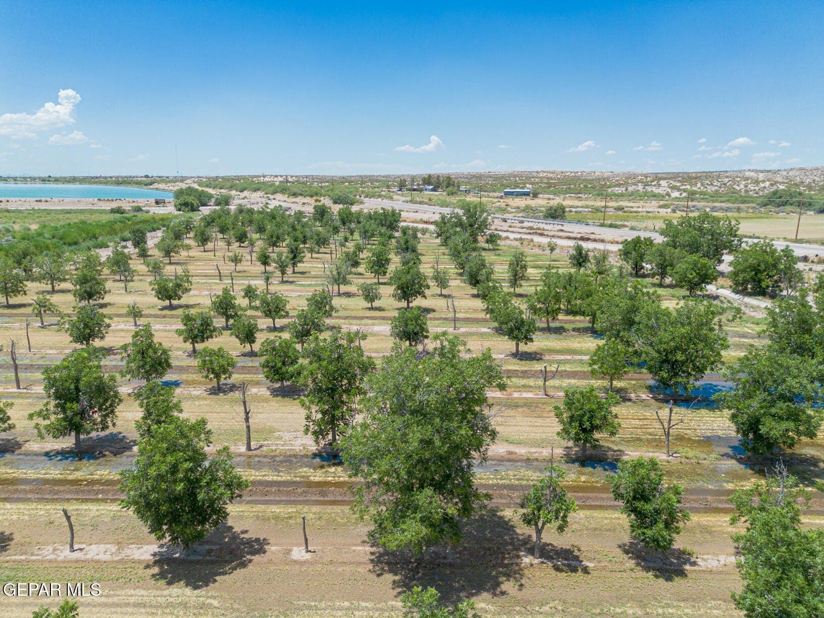 51.3 acres in El Paso County - photo 29