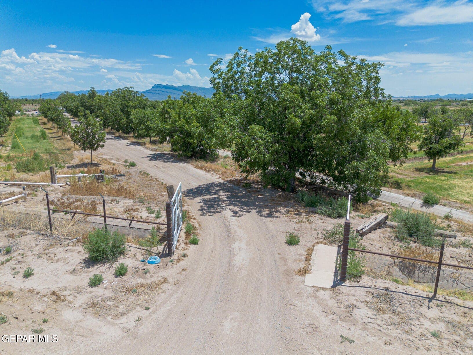 51.3 acres in El Paso County - photo 6