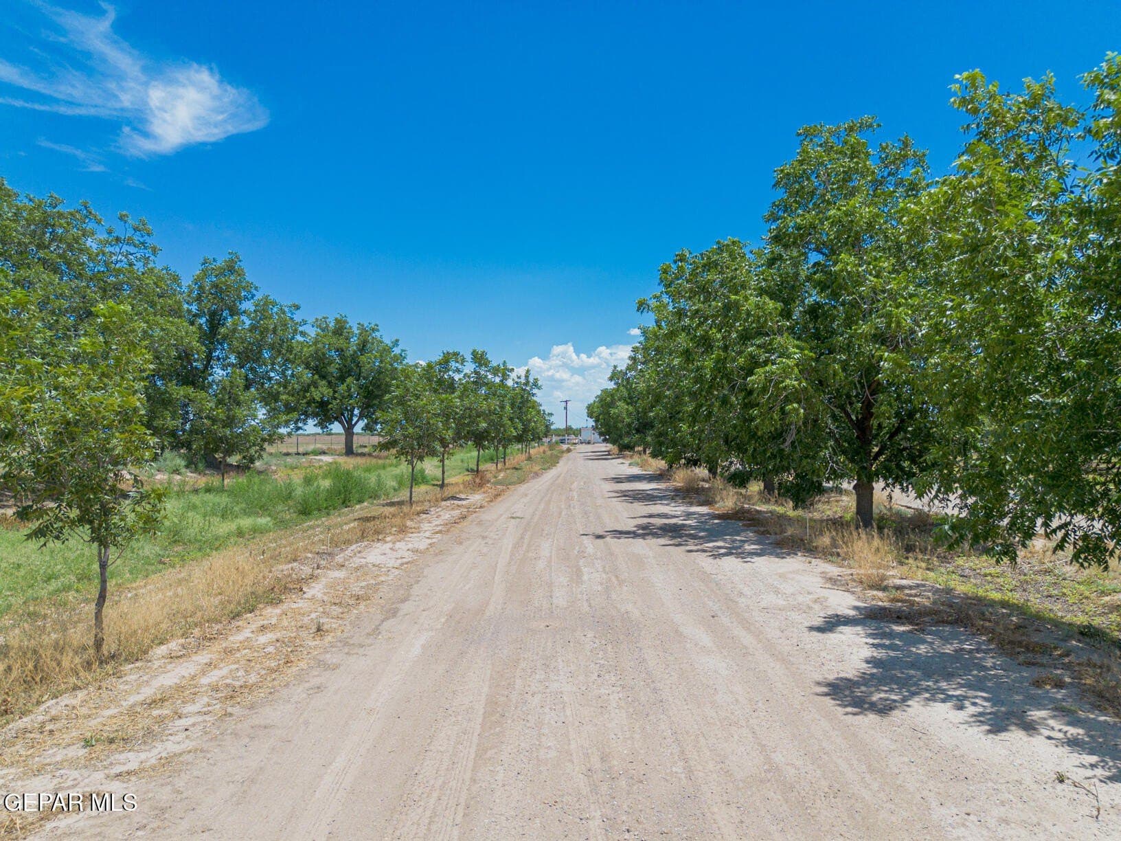 51.3 acres in El Paso County - photo 31