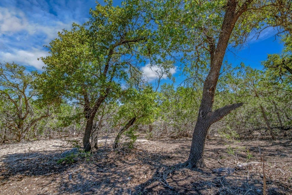 10.41 acres in Gillespie County gallery image 2