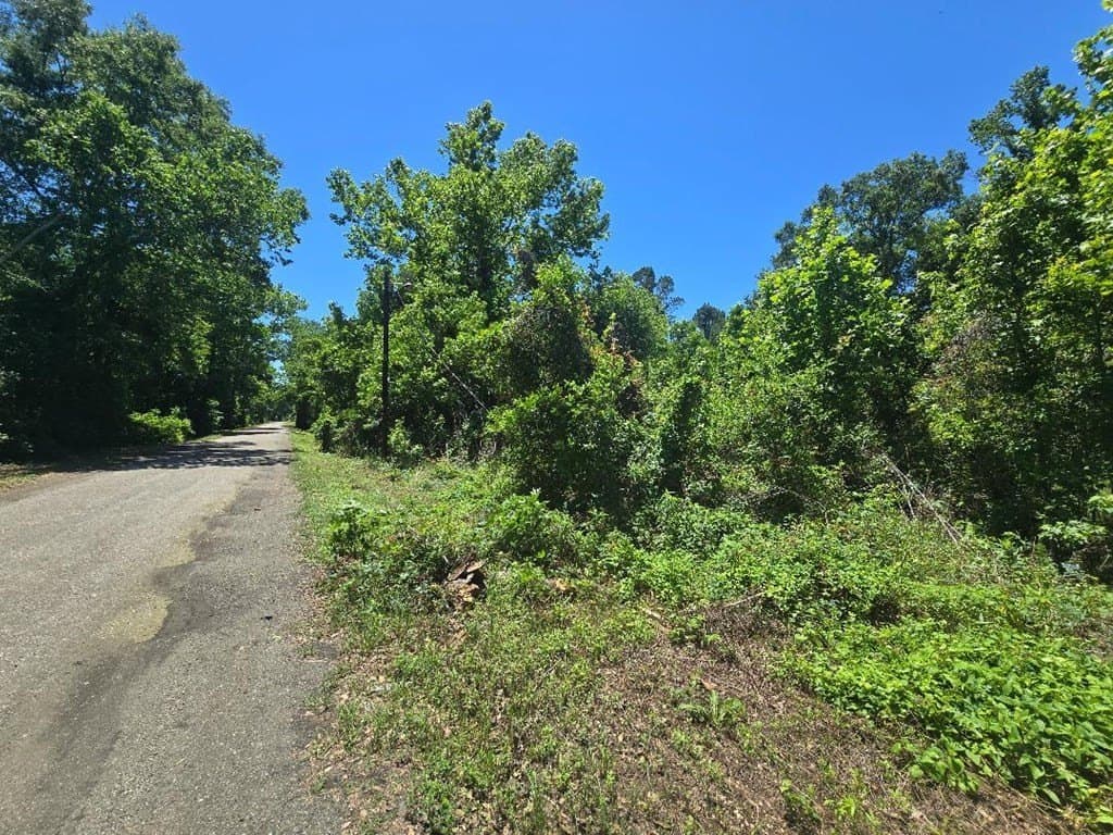 1 acres in Texas County gallery image 3