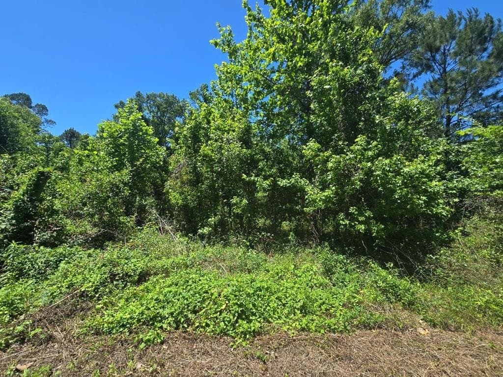 1 acres in Texas County