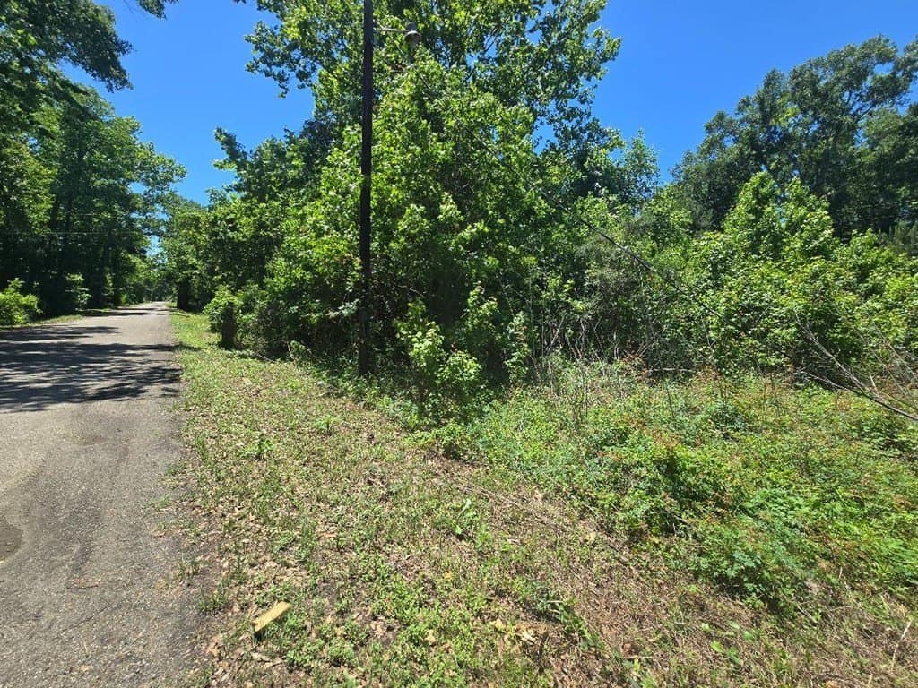 1 acres in Texas County gallery image 2