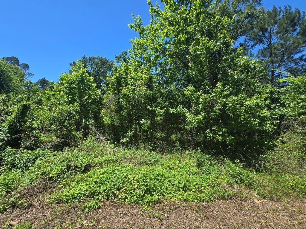1 acres in Texas County featured view