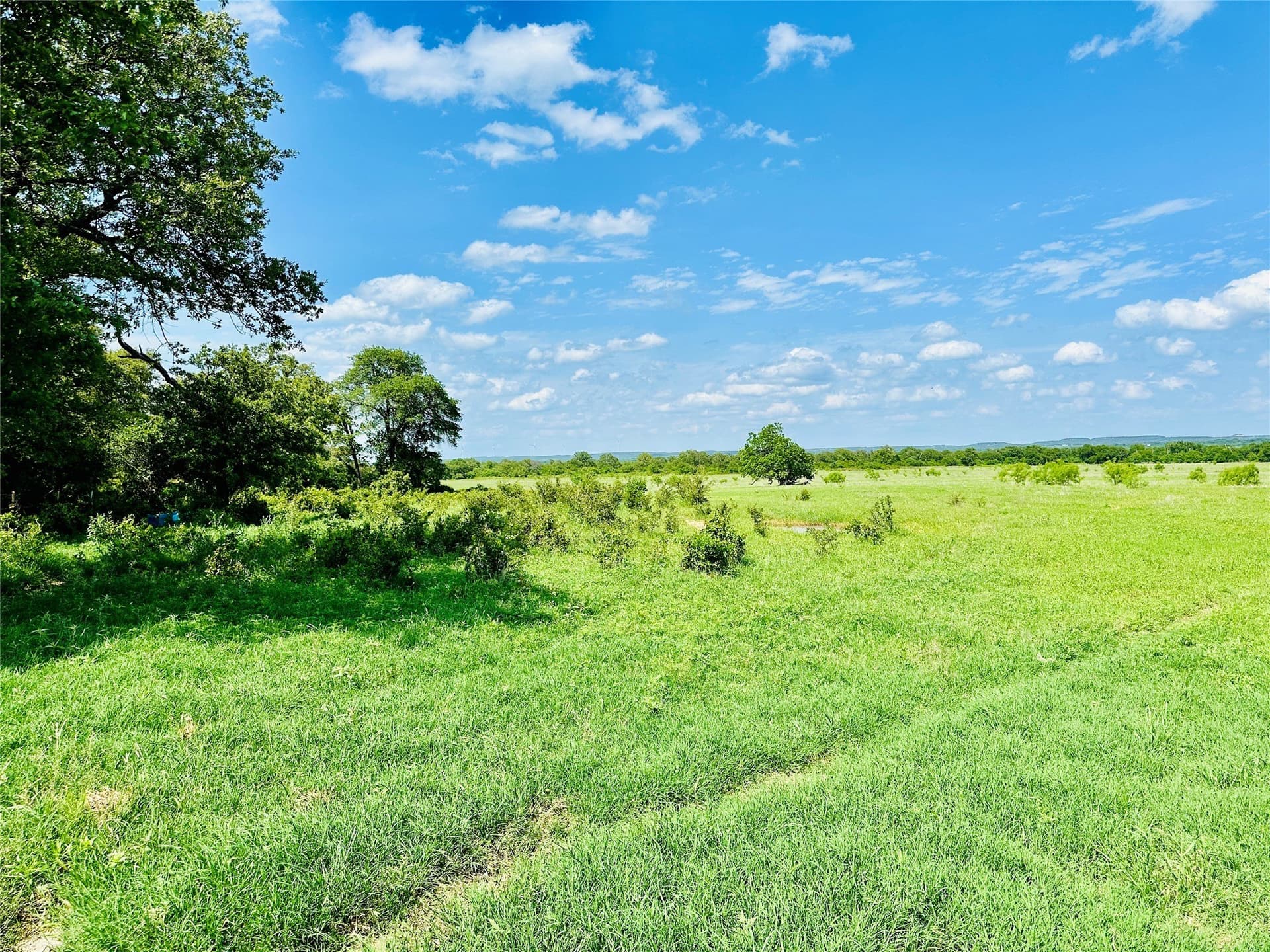 125 acres in Callahan County - photo 2