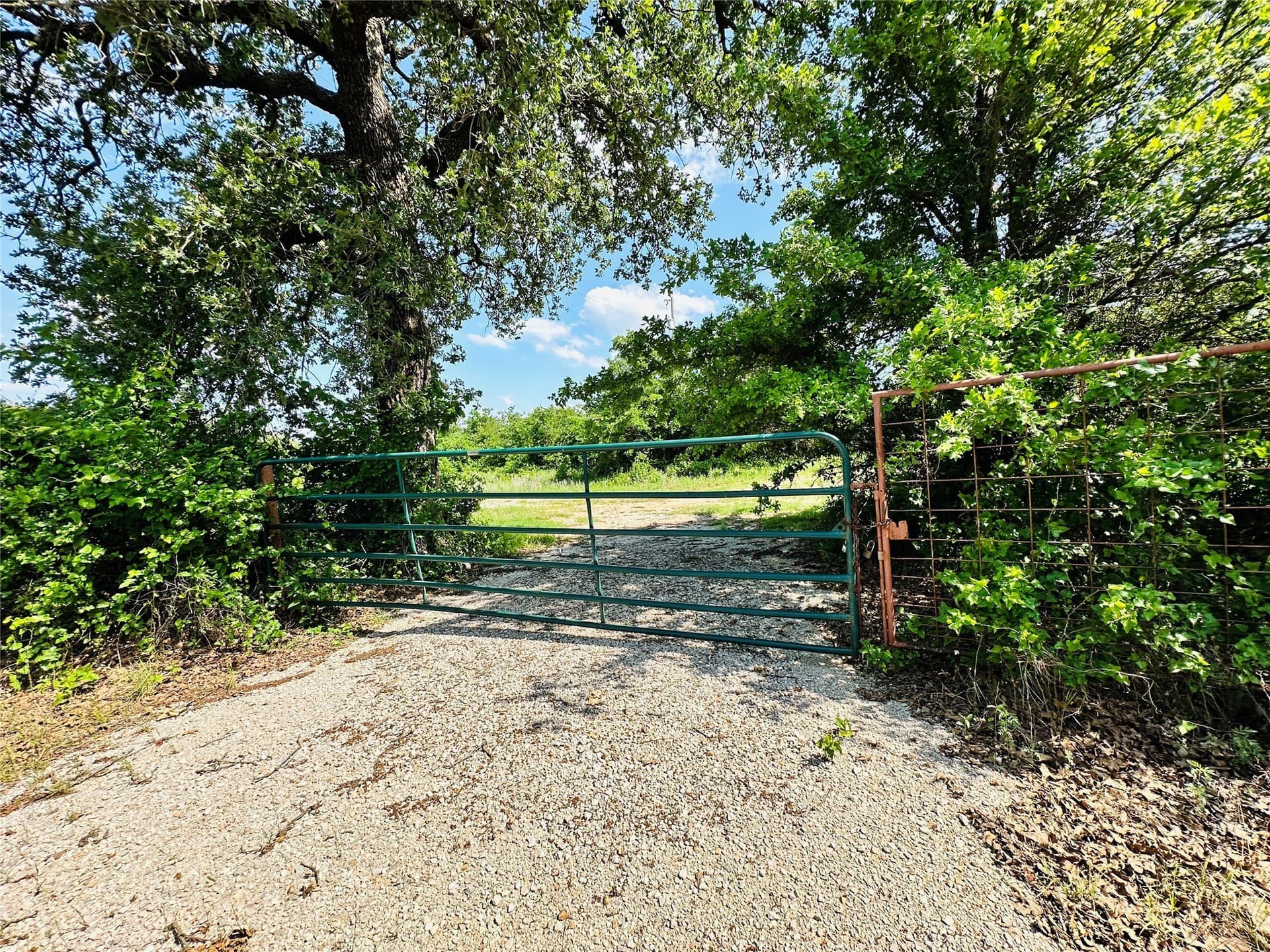 125 acres in Callahan County - photo 17