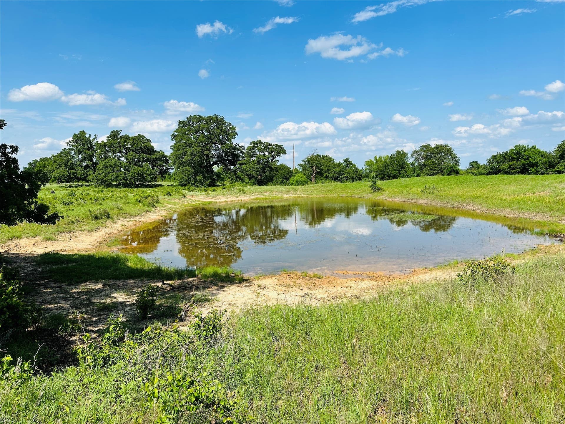 125 acres in Callahan County - photo 15