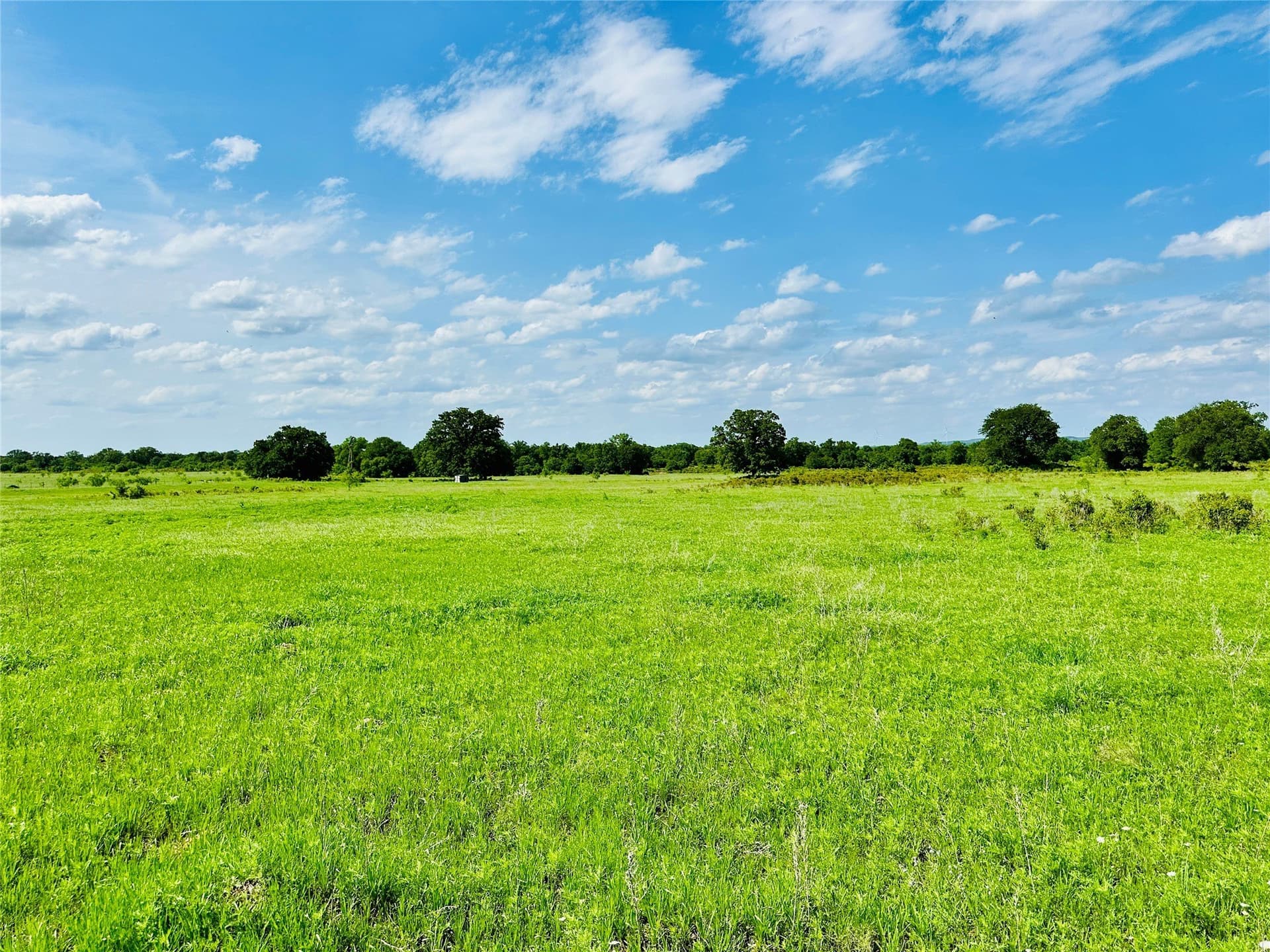125 acres in Callahan County - photo 21