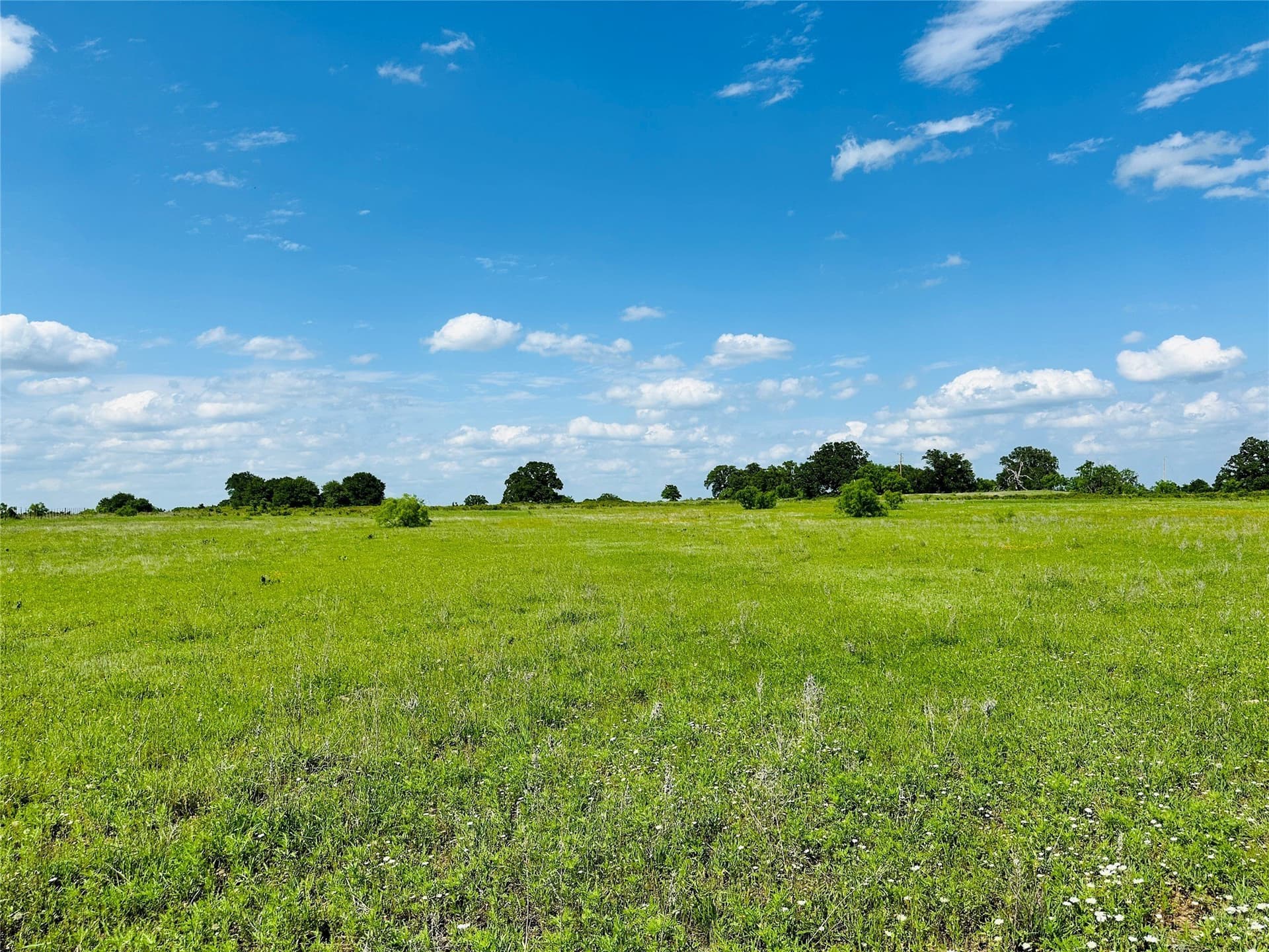 125 acres in Callahan County - photo 13