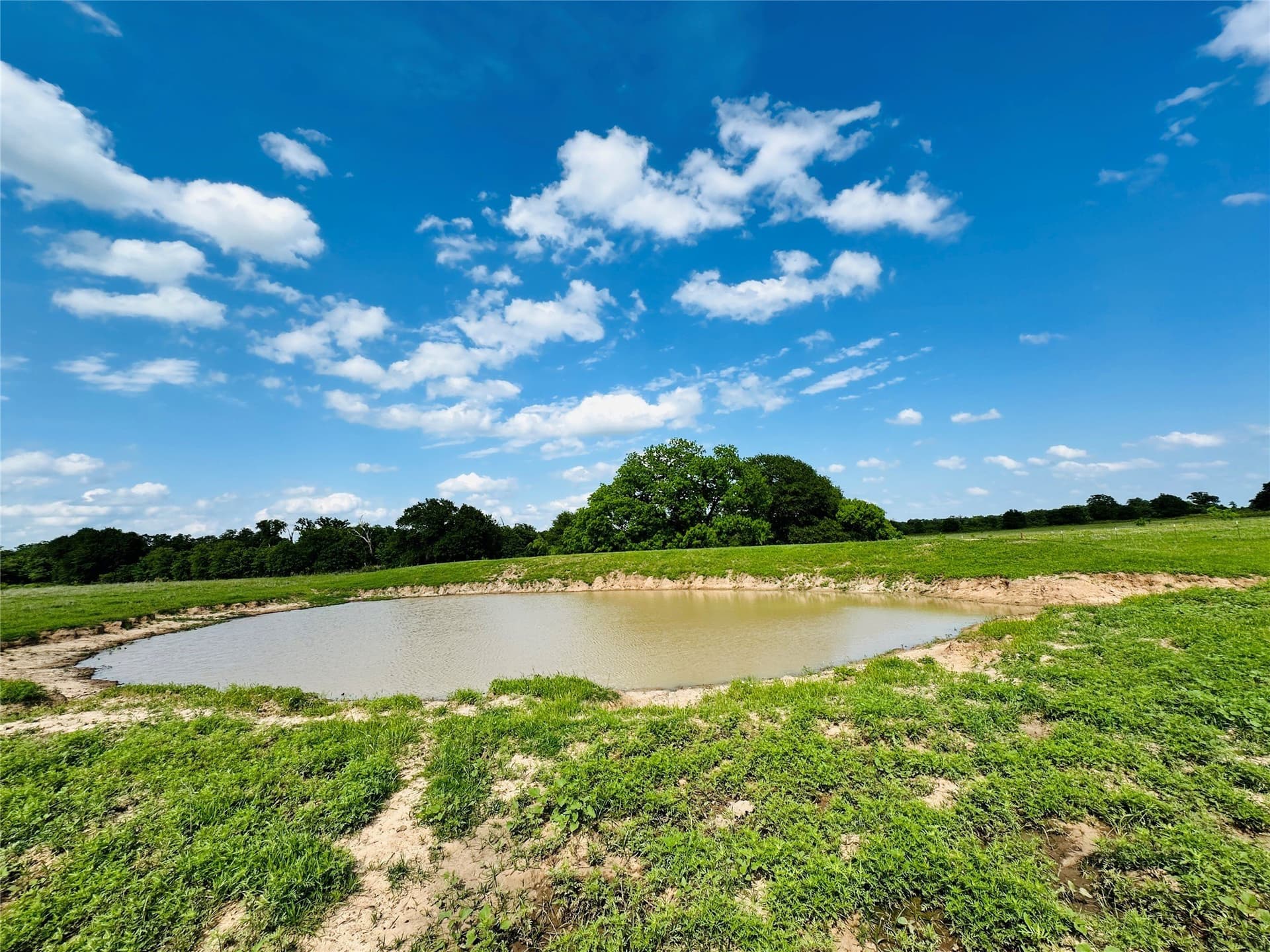 125 acres in Callahan County - photo 31