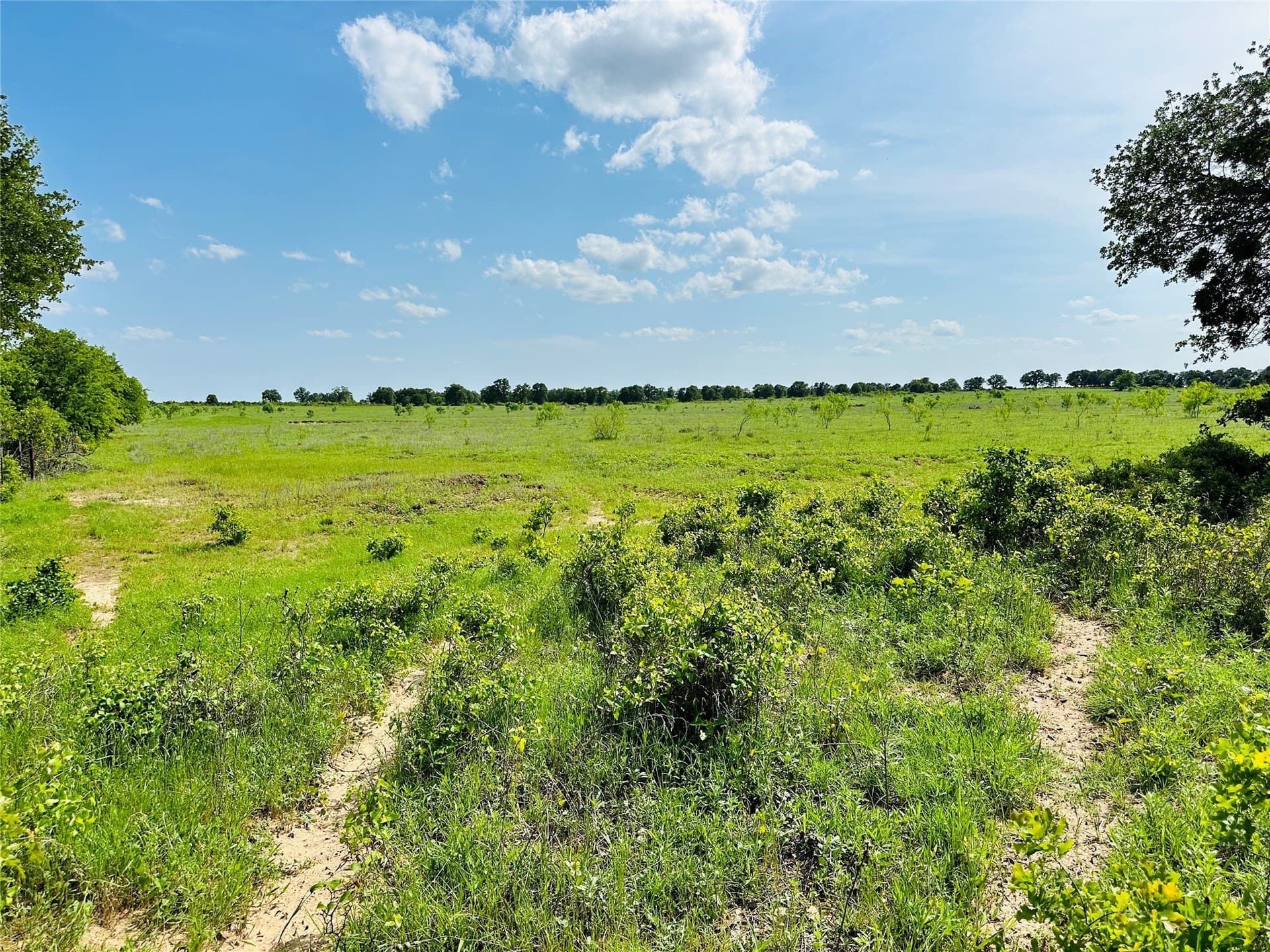 125 acres in Callahan County - photo 27