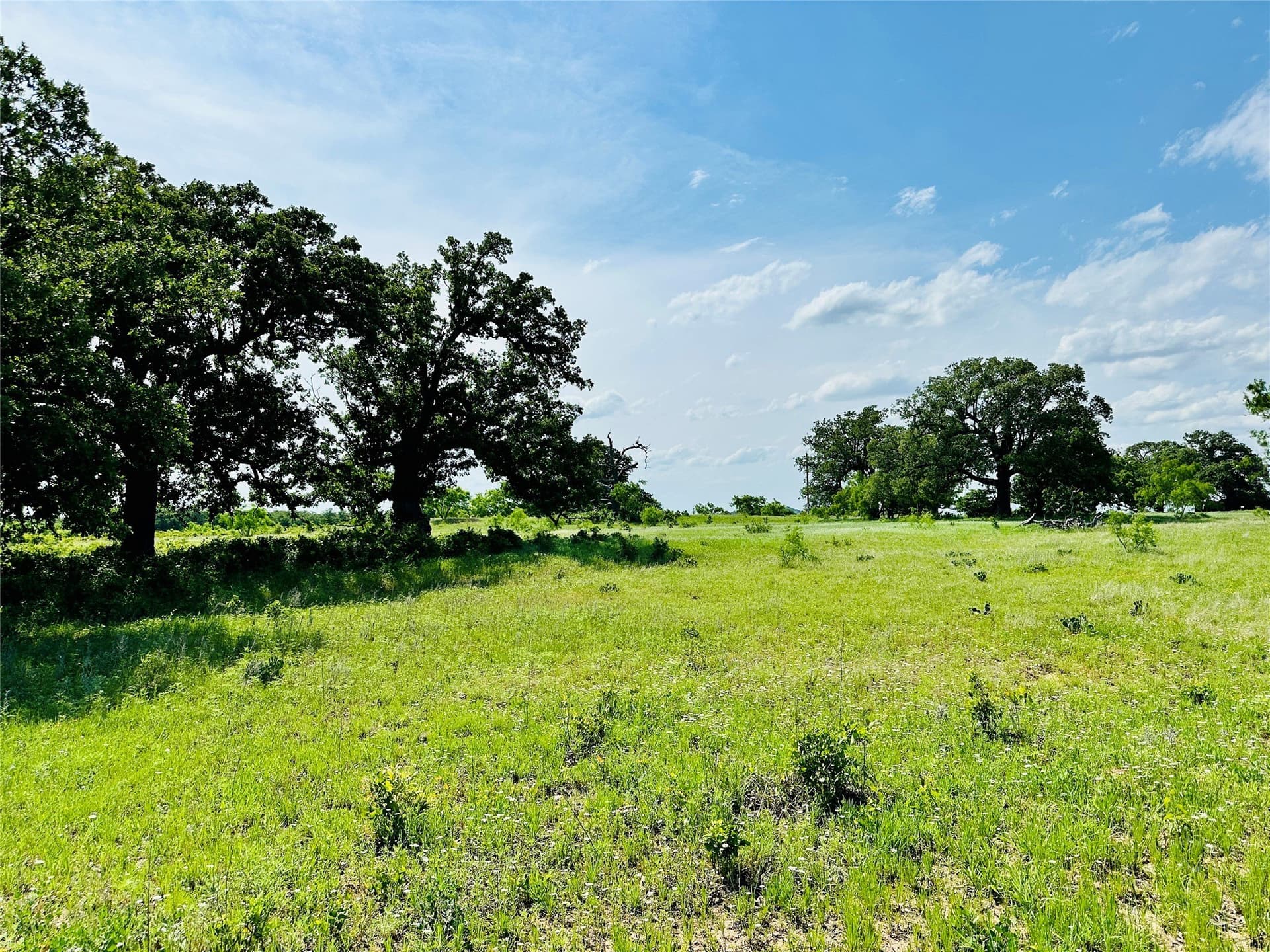 125 acres in Callahan County - photo 19