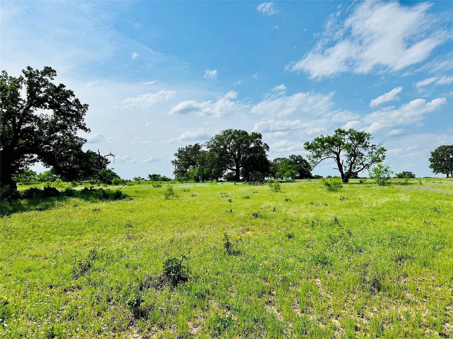 125 acres in Callahan County - photo 18