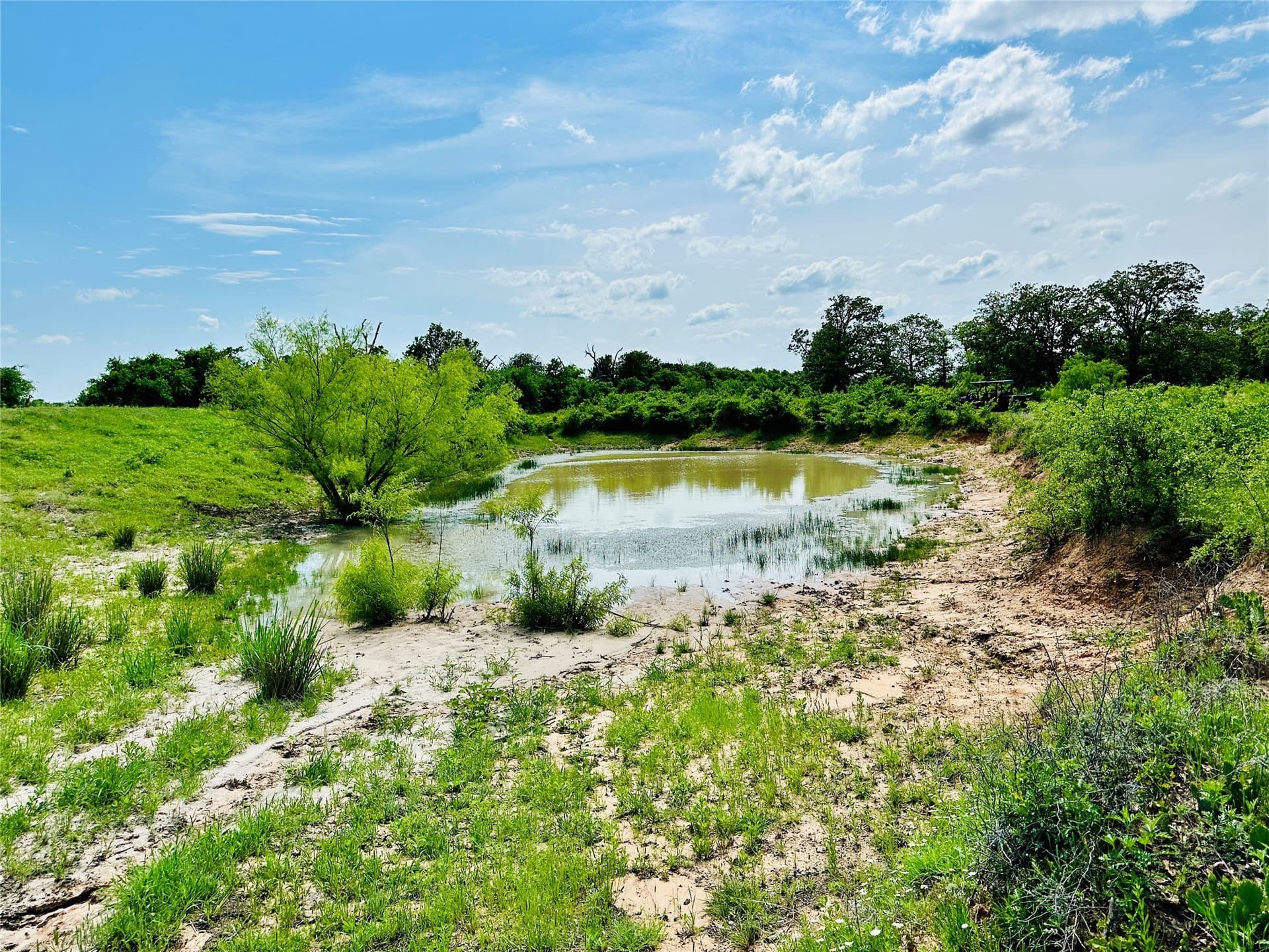 125 acres in Callahan County - photo 11